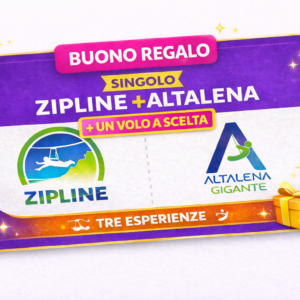 Buono Singolo CRAZY Zipline+Altalena